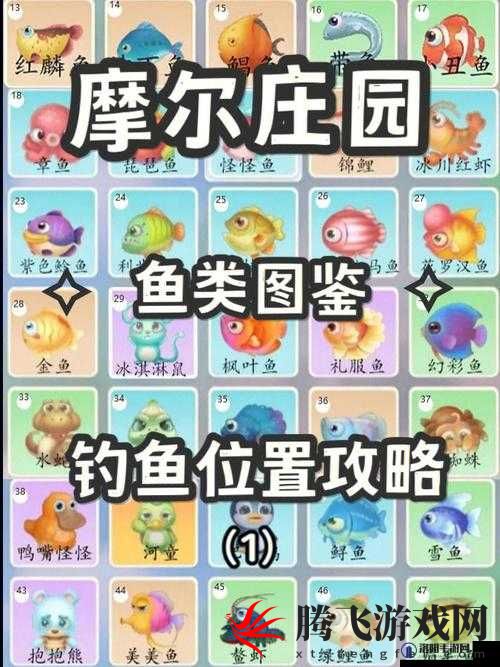 摩尔庄园手游：遗失的钓鱼竿，找回攻略大揭秘