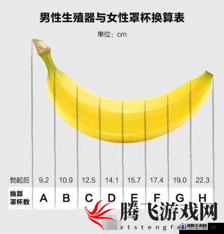 多少厘米可以让女孩子哭：背后的秘密