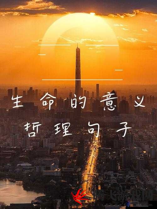 融为一体到底有多舒服：探索未知的愉悦境界