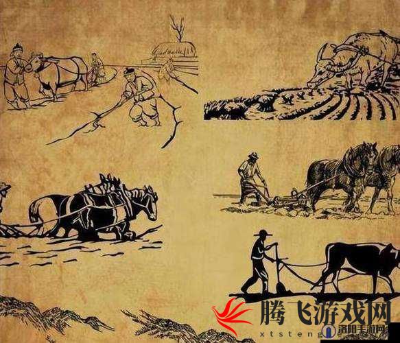 耕种妈妈肥沃土地：探索家庭与农业的奇妙之旅
