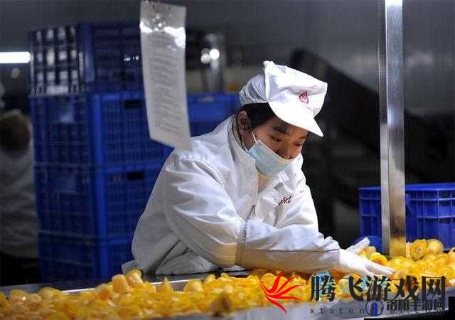 九一果冻制造厂：专注高品质果冻生产