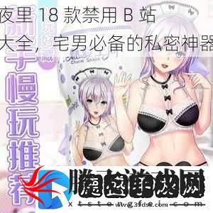 夜里18款禁用B站大全宅男必备的私密神器
