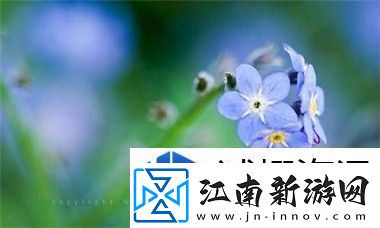 粉色苏州晶体