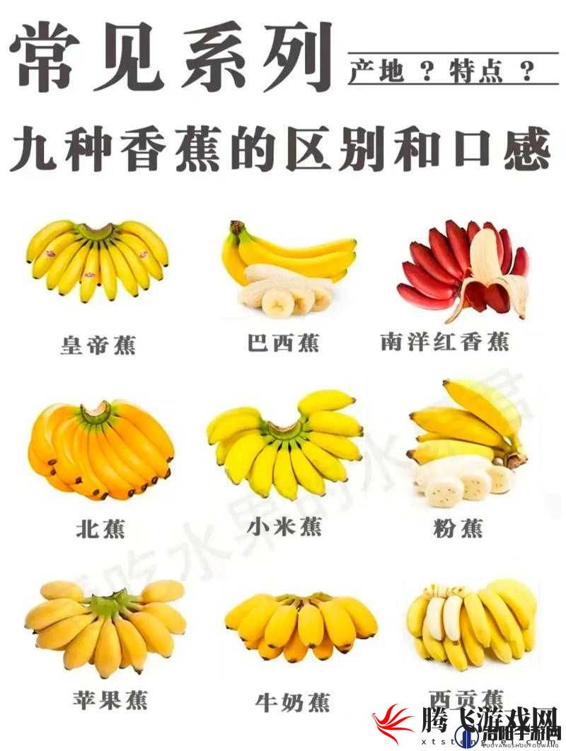 进口香蕉和国产香蕉有什么不同：深度剖析对比