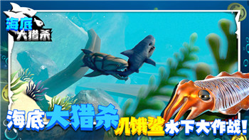幻想大陆官网探险家的奇幻之旅开启！