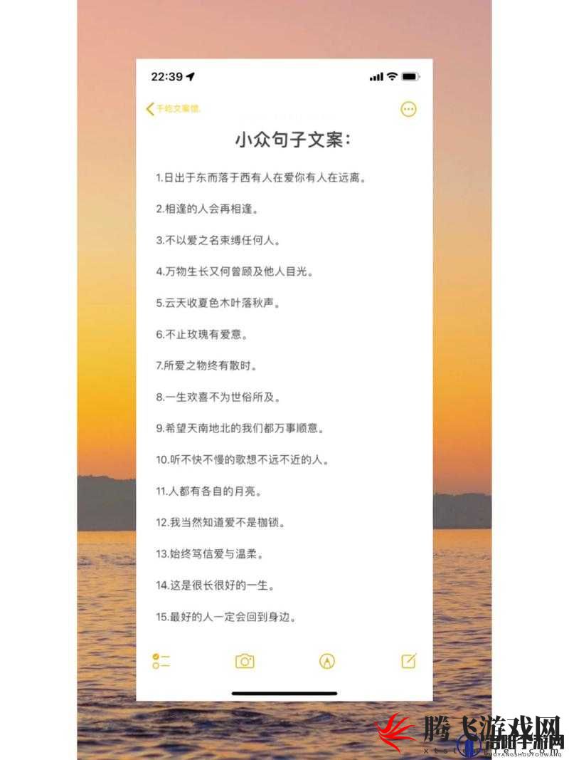 适合 zw 看的文案：精彩内容不容错过