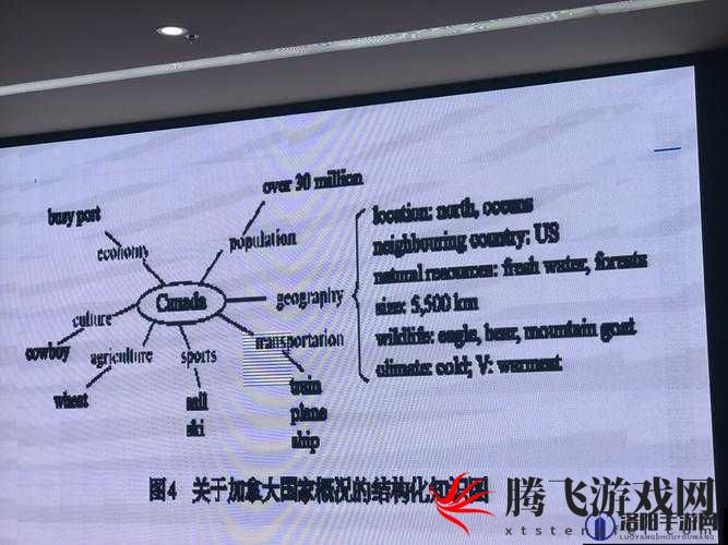 ZOOM 另一类 ZZO03 相关内容探讨