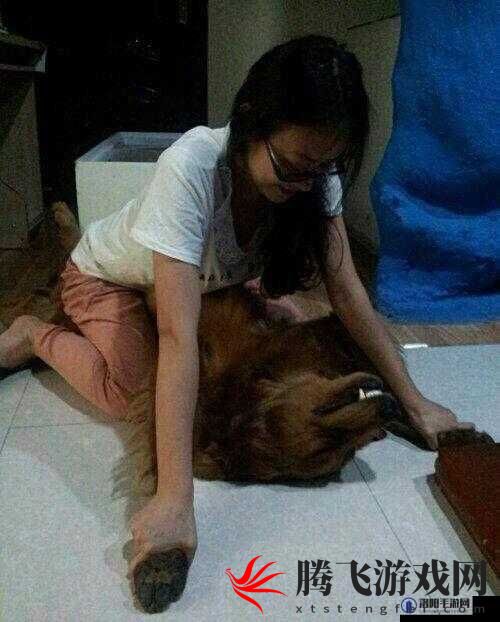 把你摁在地上摩擦怎么回复：巧妙应对之法